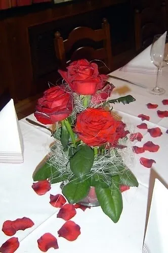 Fruehstueckspension Meyer, Familie Orthacker Graz